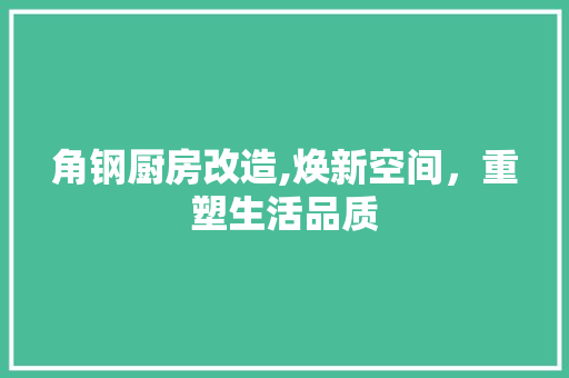 角钢厨房改造,焕新空间，重塑生活品质