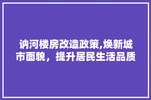 讷河楼房改造政策,焕新城市面貌，提升居民生活品质