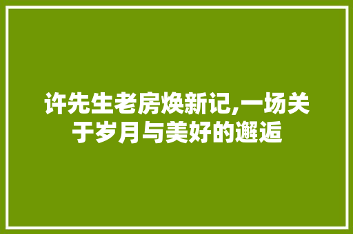许先生老房焕新记,一场关于岁月与美好的邂逅