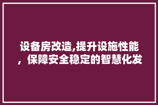 设备房改造,提升设施性能，保障安全稳定的智慧化发展