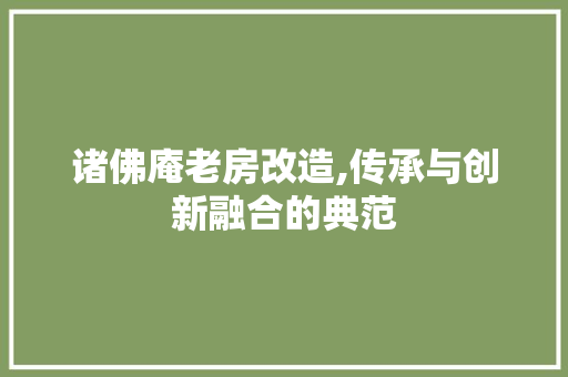 诸佛庵老房改造,传承与创新融合的典范