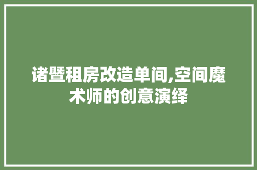 诸暨租房改造单间,空间魔术师的创意演绎