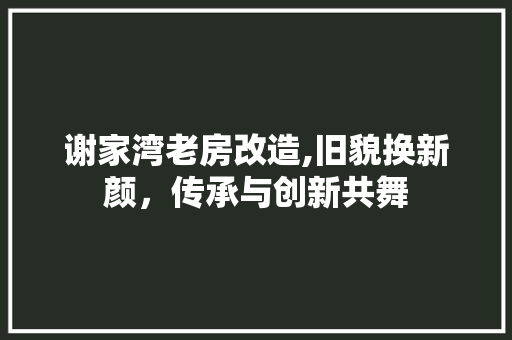 谢家湾老房改造,旧貌换新颜，传承与创新共舞