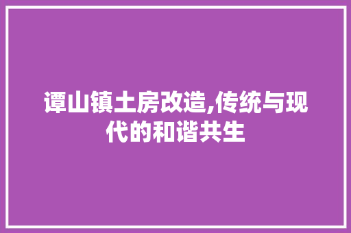 谭山镇土房改造,传统与现代的和谐共生