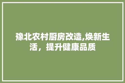 豫北农村厨房改造,焕新生活，提升健康品质