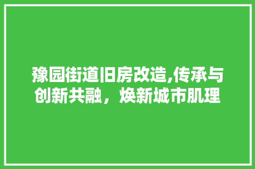 豫园街道旧房改造,传承与创新共融，焕新城市肌理