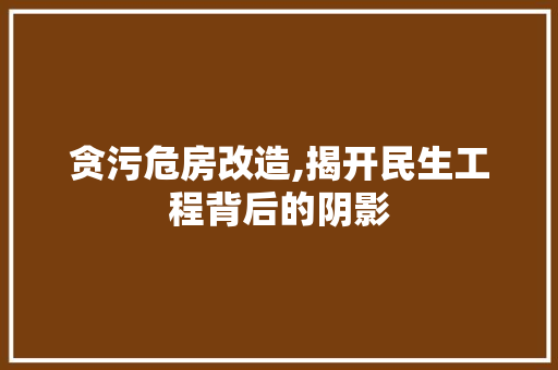 贪污危房改造,揭开民生工程背后的阴影