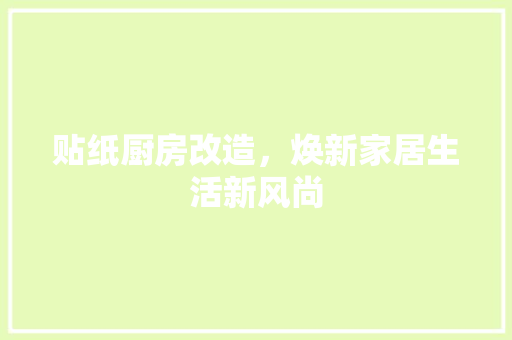 贴纸厨房改造，焕新家居生活新风尚