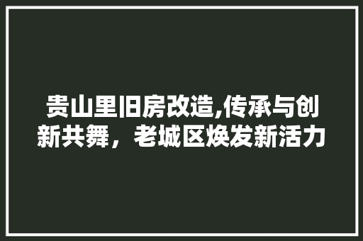贵山里旧房改造,传承与创新共舞，老城区焕发新活力