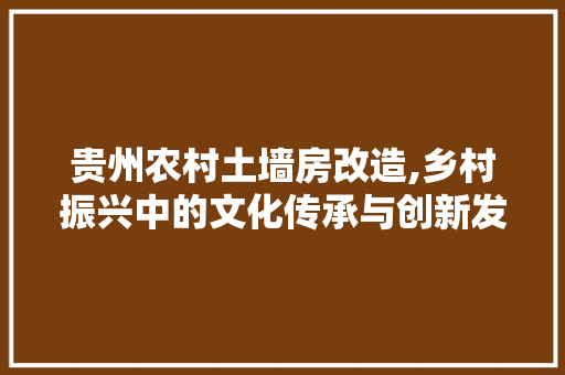 贵州农村土墙房改造,乡村振兴中的文化传承与创新发展
