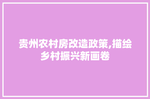 贵州农村房改造政策,描绘乡村振兴新画卷