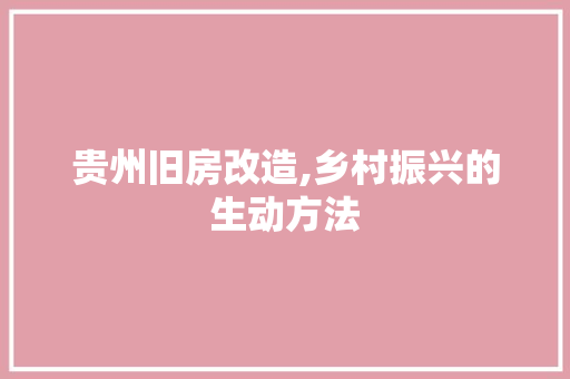贵州旧房改造,乡村振兴的生动方法