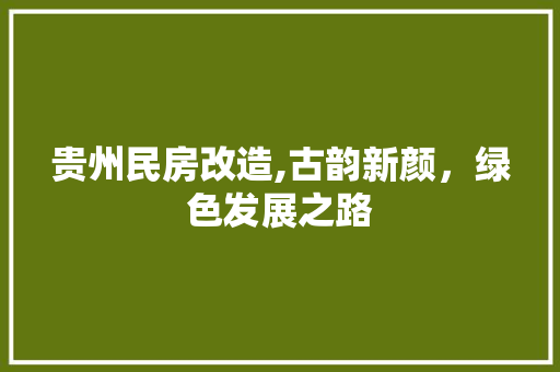 贵州民房改造,古韵新颜，绿色发展之路