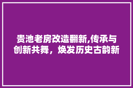 贵池老房改造翻新,传承与创新共舞，焕发历史古韵新风采