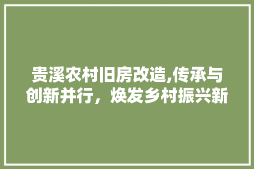 贵溪农村旧房改造,传承与创新并行，焕发乡村振兴新活力