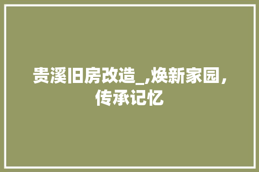 贵溪旧房改造_,焕新家园，传承记忆