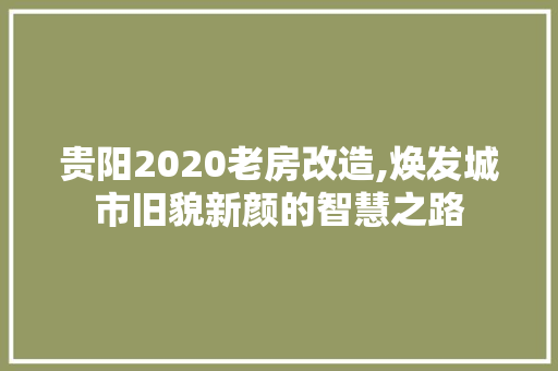 贵阳2020老房改造,焕发城市旧貌新颜的智慧之路