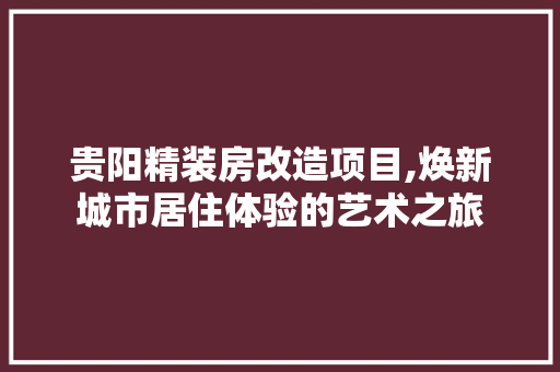 贵阳精装房改造项目,焕新城市居住体验的艺术之旅