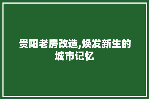 贵阳老房改造,焕发新生的城市记忆