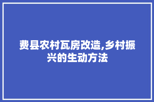 费县农村瓦房改造,乡村振兴的生动方法