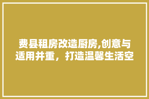 费县租房改造厨房,创意与适用并重，打造温馨生活空间