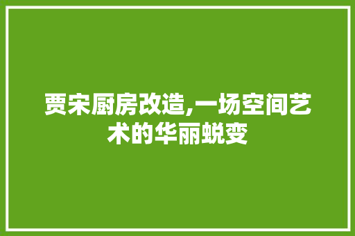 贾宋厨房改造,一场空间艺术的华丽蜕变