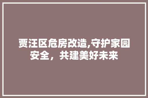 贾汪区危房改造,守护家园安全，共建美好未来