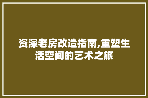 资深老房改造指南,重塑生活空间的艺术之旅