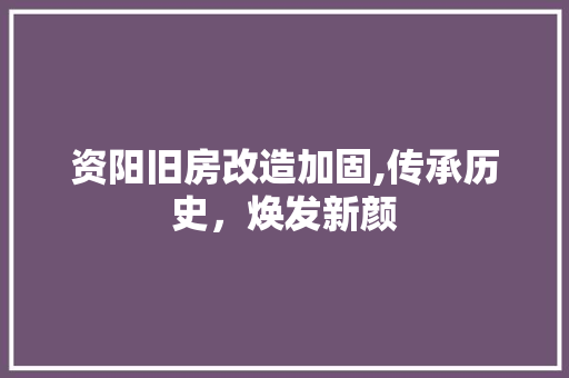 资阳旧房改造加固,传承历史，焕发新颜
