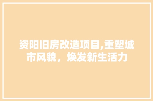 资阳旧房改造项目,重塑城市风貌，焕发新生活力