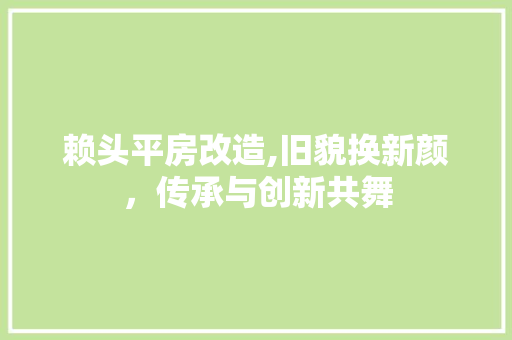 赖头平房改造,旧貌换新颜，传承与创新共舞