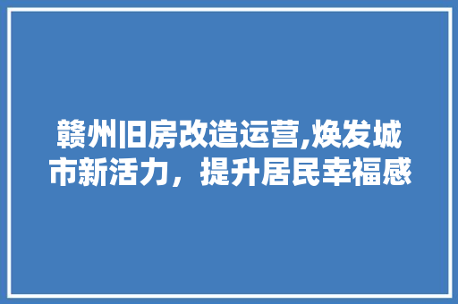 赣州旧房改造运营,焕发城市新活力，提升居民幸福感