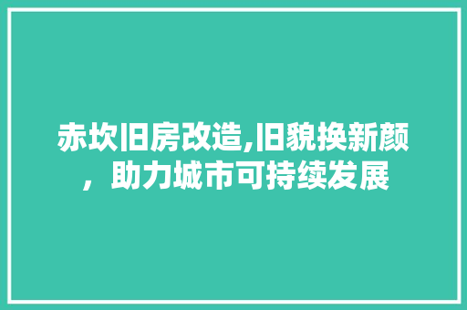 赤坎旧房改造,旧貌换新颜，助力城市可持续发展