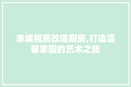 赤城租房改造厨房,打造温馨家园的艺术之旅