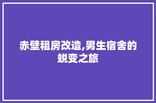 赤壁租房改造,男生宿舍的蜕变之旅