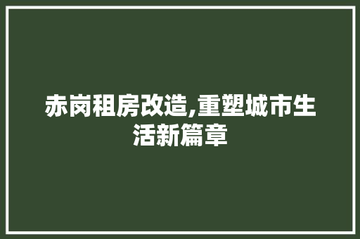 赤岗租房改造,重塑城市生活新篇章