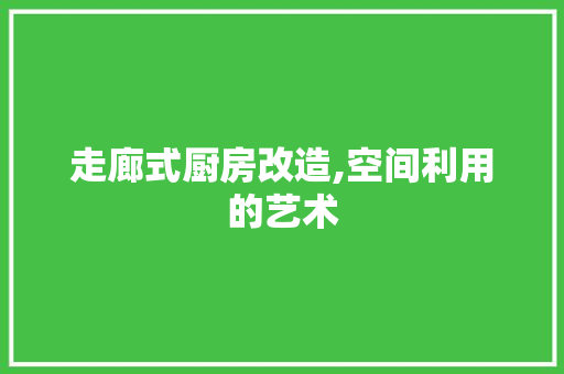 走廊式厨房改造,空间利用的艺术