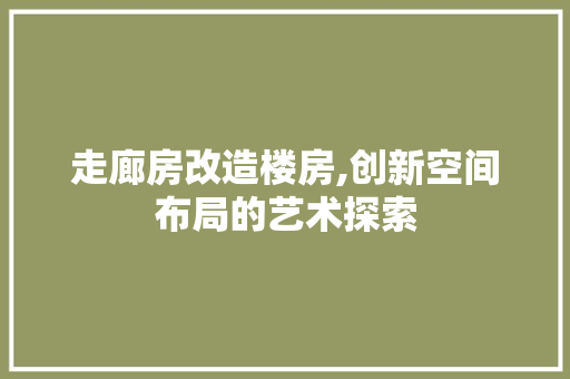 走廊房改造楼房,创新空间布局的艺术探索