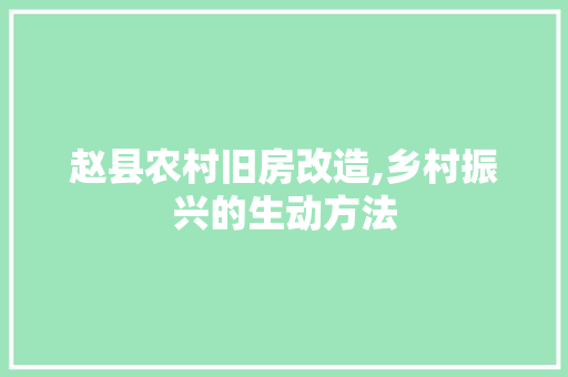 赵县农村旧房改造,乡村振兴的生动方法