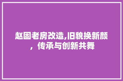 赵固老房改造,旧貌换新颜，传承与创新共舞