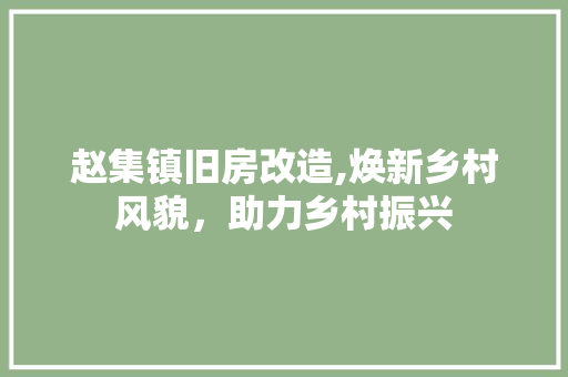 赵集镇旧房改造,焕新乡村风貌，助力乡村振兴