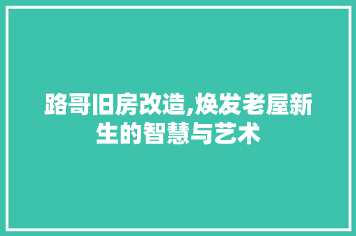 路哥旧房改造,焕发老屋新生的智慧与艺术
