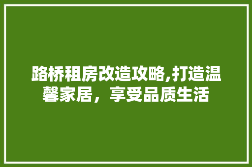 路桥租房改造攻略,打造温馨家居，享受品质生活