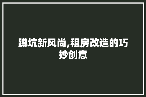 蹲坑新风尚,租房改造的巧妙创意