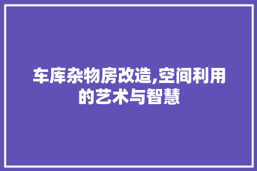 车库杂物房改造,空间利用的艺术与智慧