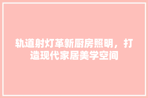 轨道射灯革新厨房照明，打造现代家居美学空间
