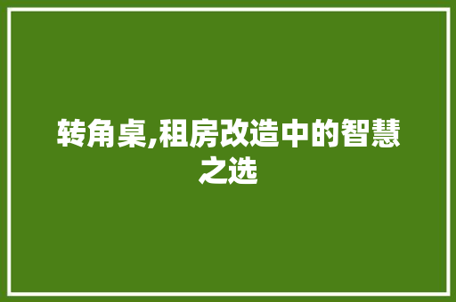 转角桌,租房改造中的智慧之选