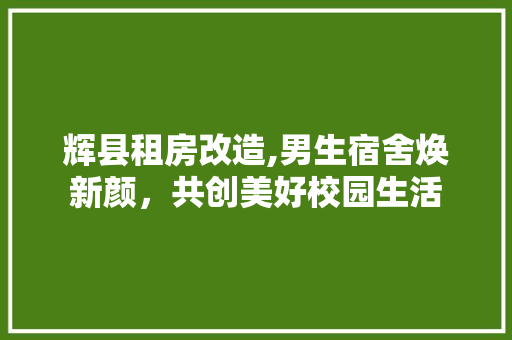 辉县租房改造,男生宿舍焕新颜，共创美好校园生活
