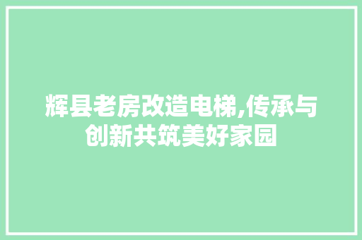 辉县老房改造电梯,传承与创新共筑美好家园
