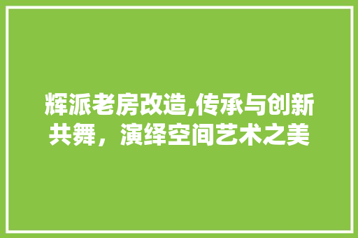 辉派老房改造,传承与创新共舞，演绎空间艺术之美
